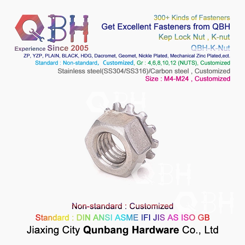 Qbh SS304 SS316 SUS304 SUS316 Stainless Steel K-Nut Star Nut